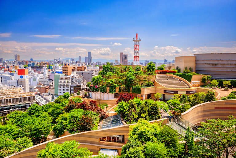 Arts et traditions au Japon pas cher photo 28