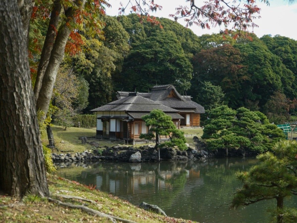 Évasion japonaise en famille en liberté - 16J/13N pas cher