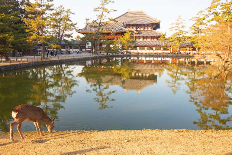 Trésors du Japon - 3* pas cher photo 4