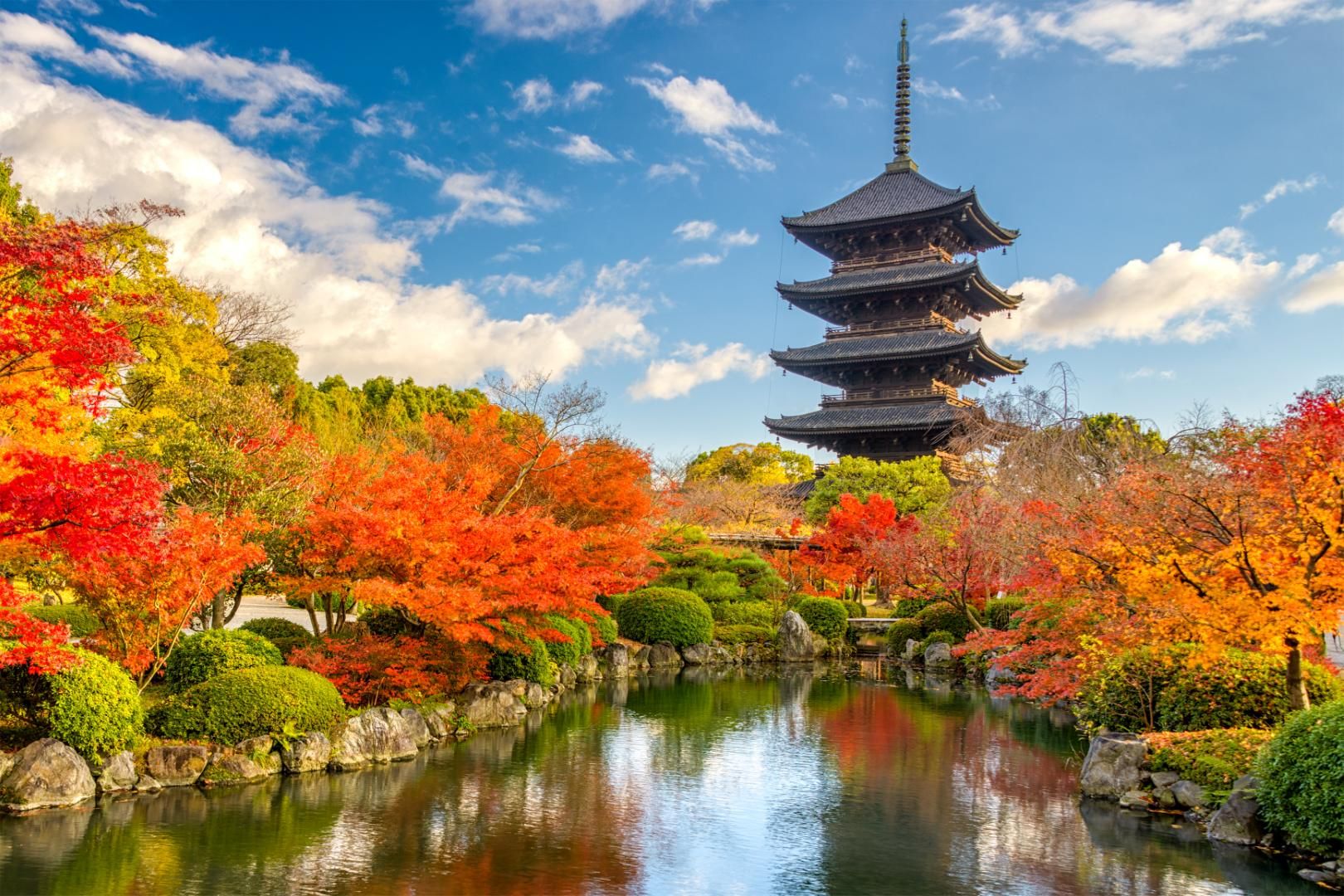 Beauté du Japon en liberté - 16J/13N pas cher