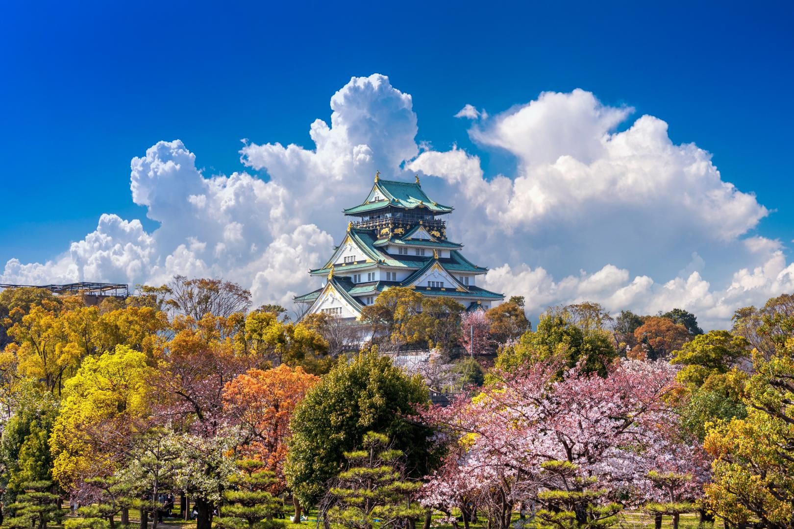Beauté du Japon en liberté - 16J/13N pas cher photo 6