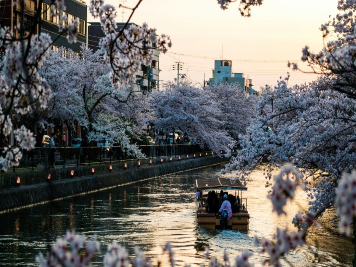 Japon sous un autre angle en liberté - 21J/18N pas cher photo 8