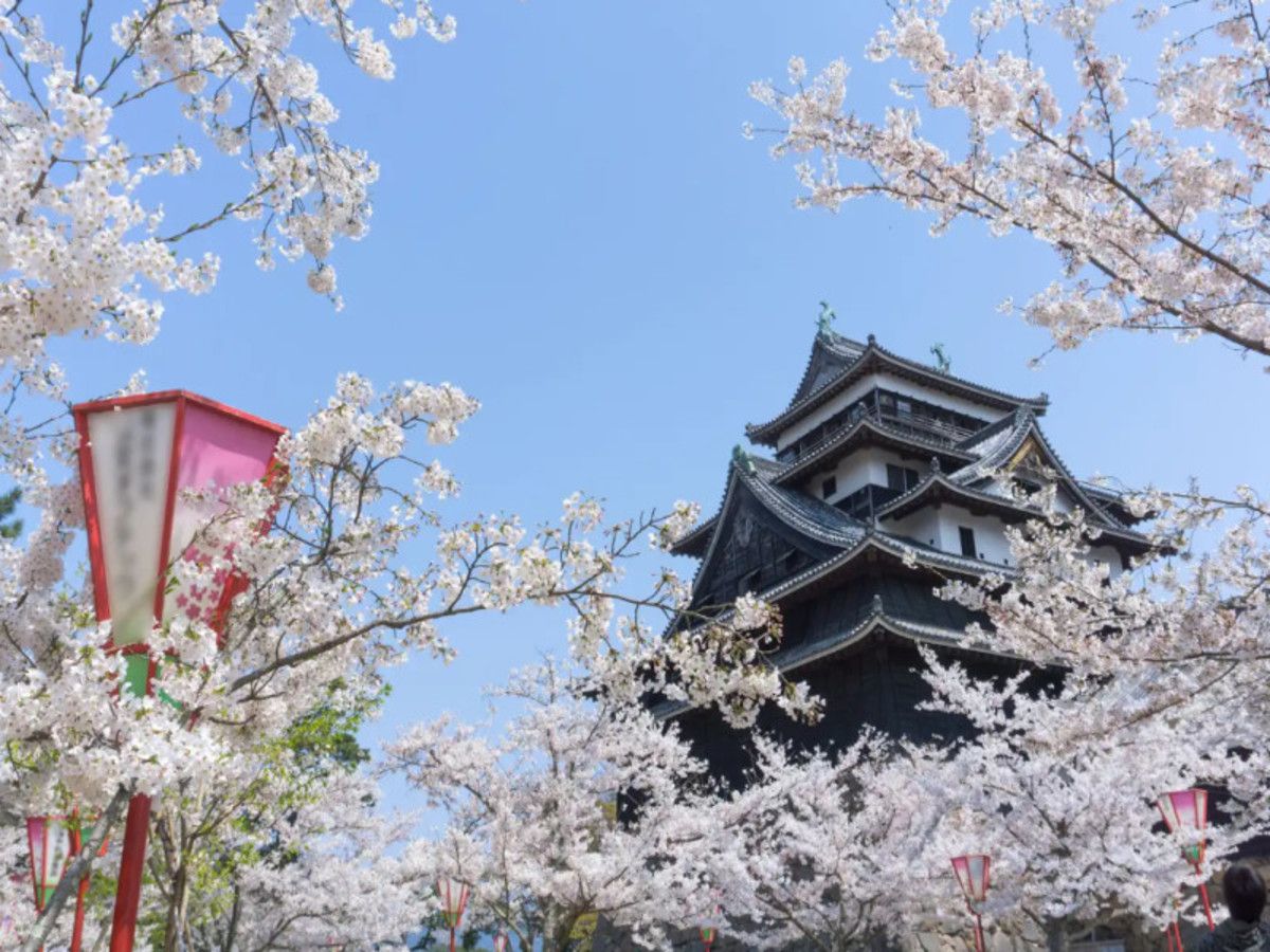 Japon sous un autre angle en liberté - 21J/18N pas cher photo 11