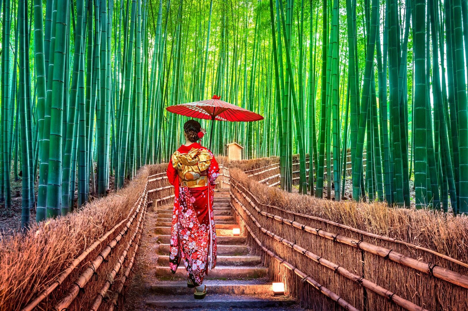 Incontournables du Japon - 12J/9N - 2027 - Limité à 35 pers pas cher photo 6