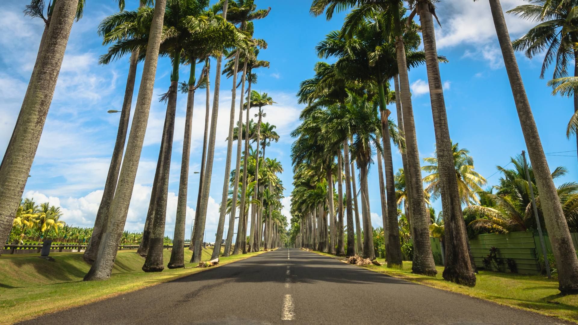 Sur la Route : Les perles de la Guadeloupe 10J/8N pas cher photo 6