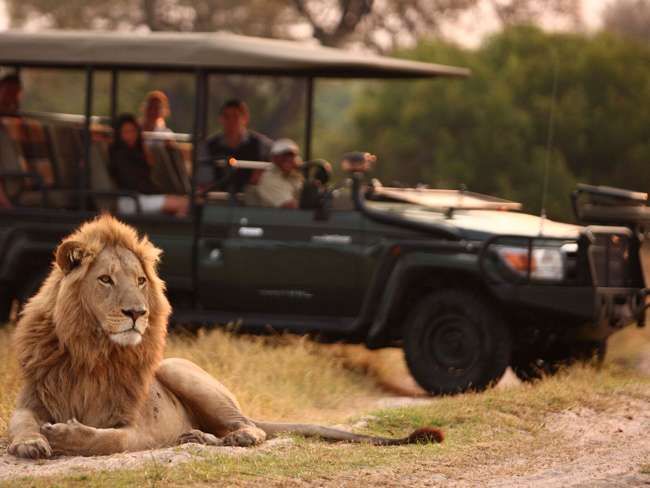 Combiné Afrique du Sud : Cape Town Hollow et Elephant walk tented Camp en autotour pas cher photo 2