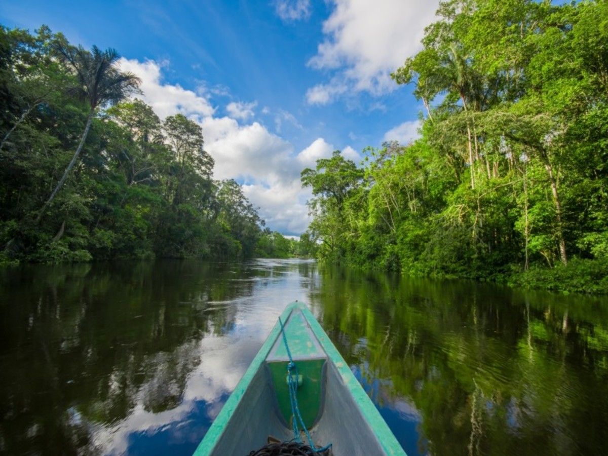 Aperçu du Brésil + extension Amazonie - 12J/10N - Limité à 18 personnes - 2027 pas cher photo 10