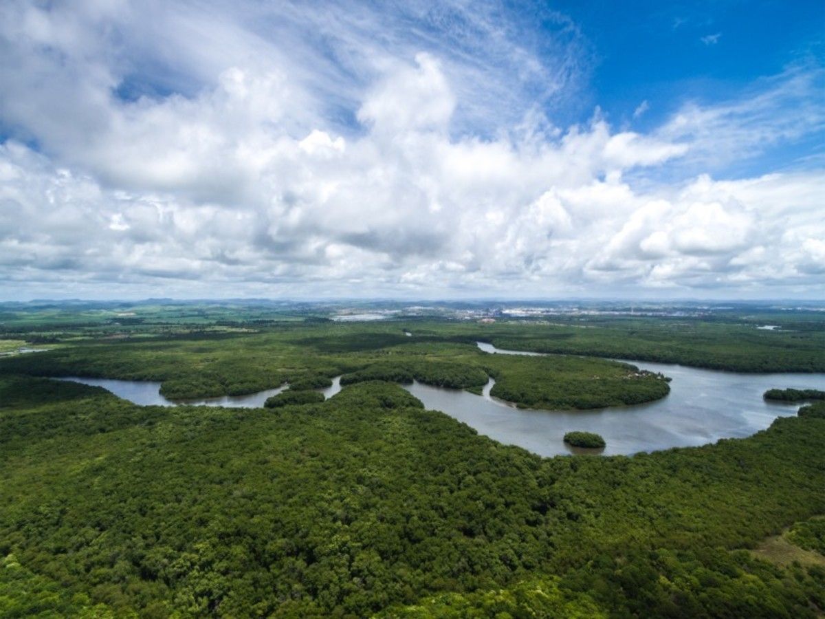 Aperçu du Brésil + extension Amazonie - 12J/10N - Limité à 18 personnes - 2027 pas cher photo 11