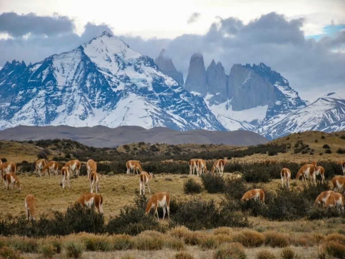 Merveilles du Chili : Patagonie et Ile de Pâques - 15J/13N - Limité à 16 pers.- 2027 pas cher photo 2