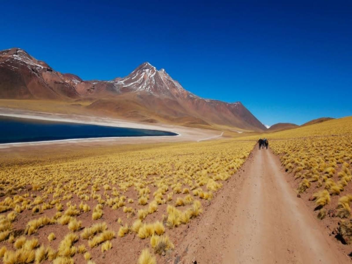 Merveilles du Chili : Patagonie et Ile de Pâques - 15J/13N - Limité à 16 pers.- 2027 pas cher photo 8