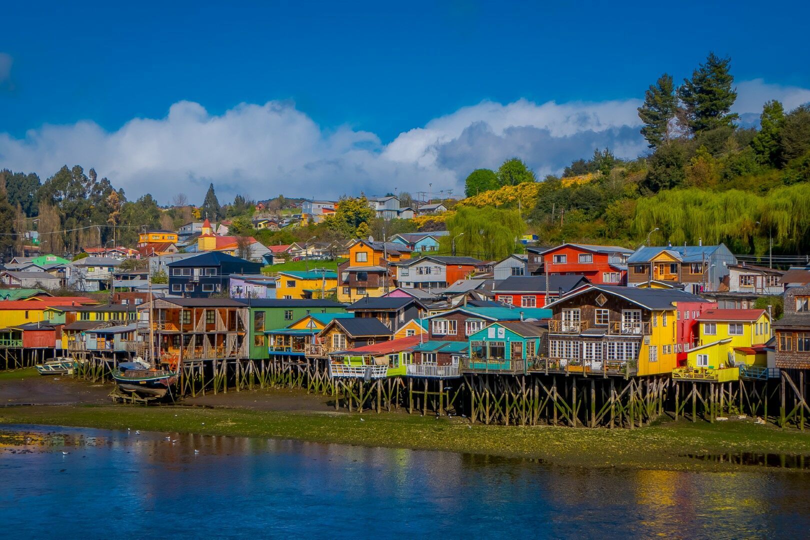 Couleurs du Chili et Chiloé - 16J/13N - Limité à 12 pers. - 2027 pas cher photo 2