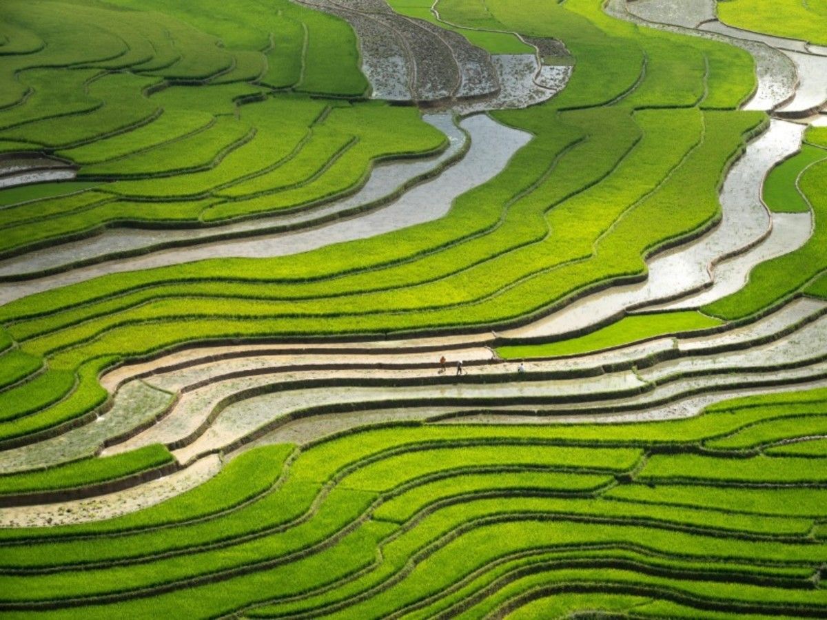 Trésors du Yunnan - 12 jours / 10 nuits pas cher photo 5