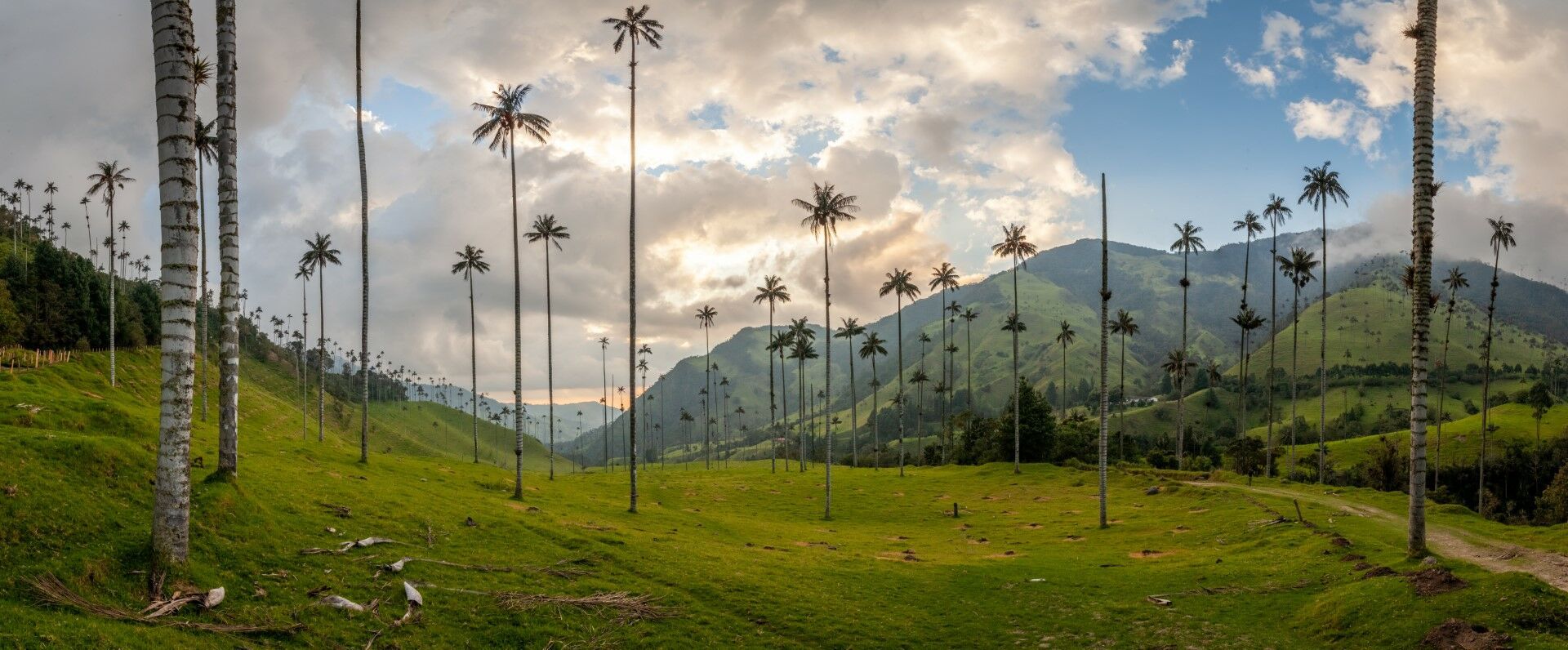 Couleurs de Colombie - 11 jours / 09 nuits - Limité à 18 personnes 2027 pas cher photo 6