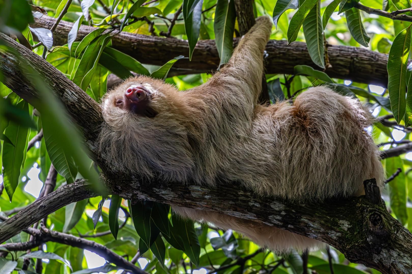 Trésors du Costa Rica - 12J/10N - Limité à 18 personnes 2027 pas cher