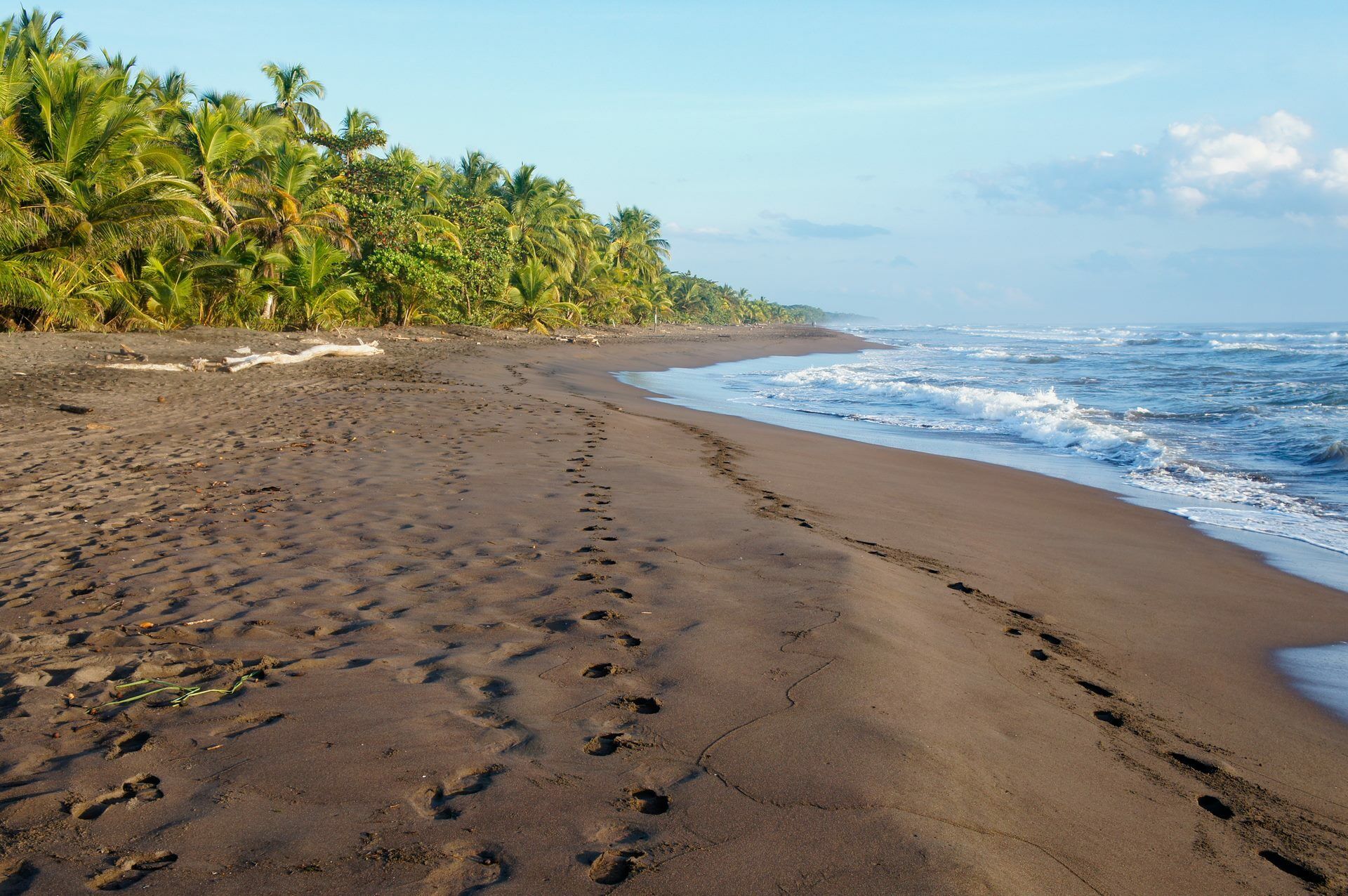 L'Essentiel du Costa Rica et du Nicaragua - 12J/10N - Limité à 14 personnes pas cher photo 10
