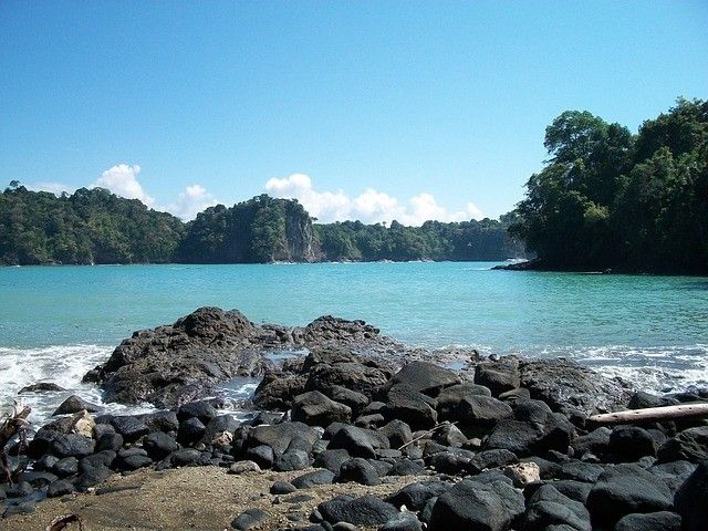 Cap sur le Costa Rica et Tortuguero extension Manuel Antonio - 16J/14N - Limité à 20 pers. - 2027 TS pas cher photo 24