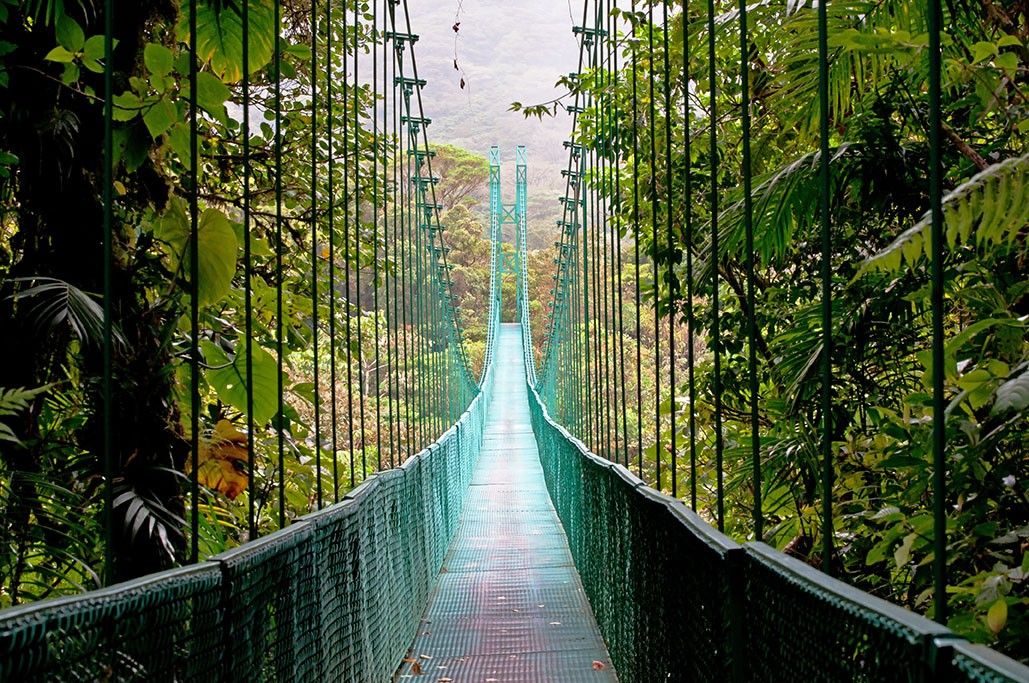 Cap sur le Costa Rica et Tortuguero extension Tambor - 16J/14N - Limité à 20 pers. - 2027 pas cher photo 5