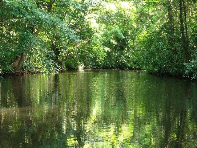 Cap sur le Costa Rica et Tortuguero extension Tambor - 16J/14N - Limité à 20 pers. - 2027 pas cher photo 16