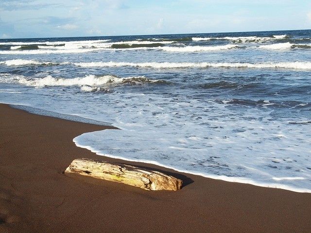 Cap sur le Costa Rica et Tortuguero extension Tambor - 16J/14N - Limité à 20 pers. - 2027 pas cher photo 17