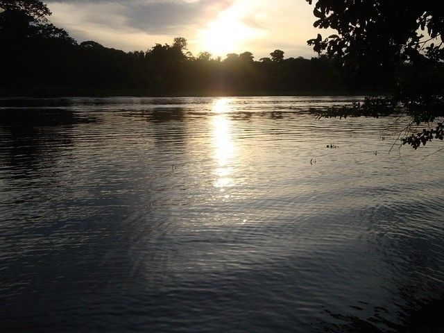 Cap sur le Costa Rica et Tortuguero extension Tambor - 16J/14N - Limité à 20 pers. - 2027 pas cher photo 20