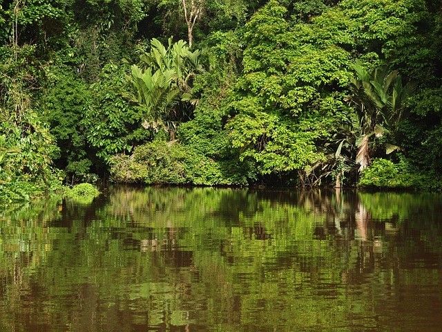 Cap sur le Costa Rica et Tortuguero extension Tambor - 16J/14N - Limité à 20 pers. - 2027 pas cher photo 21