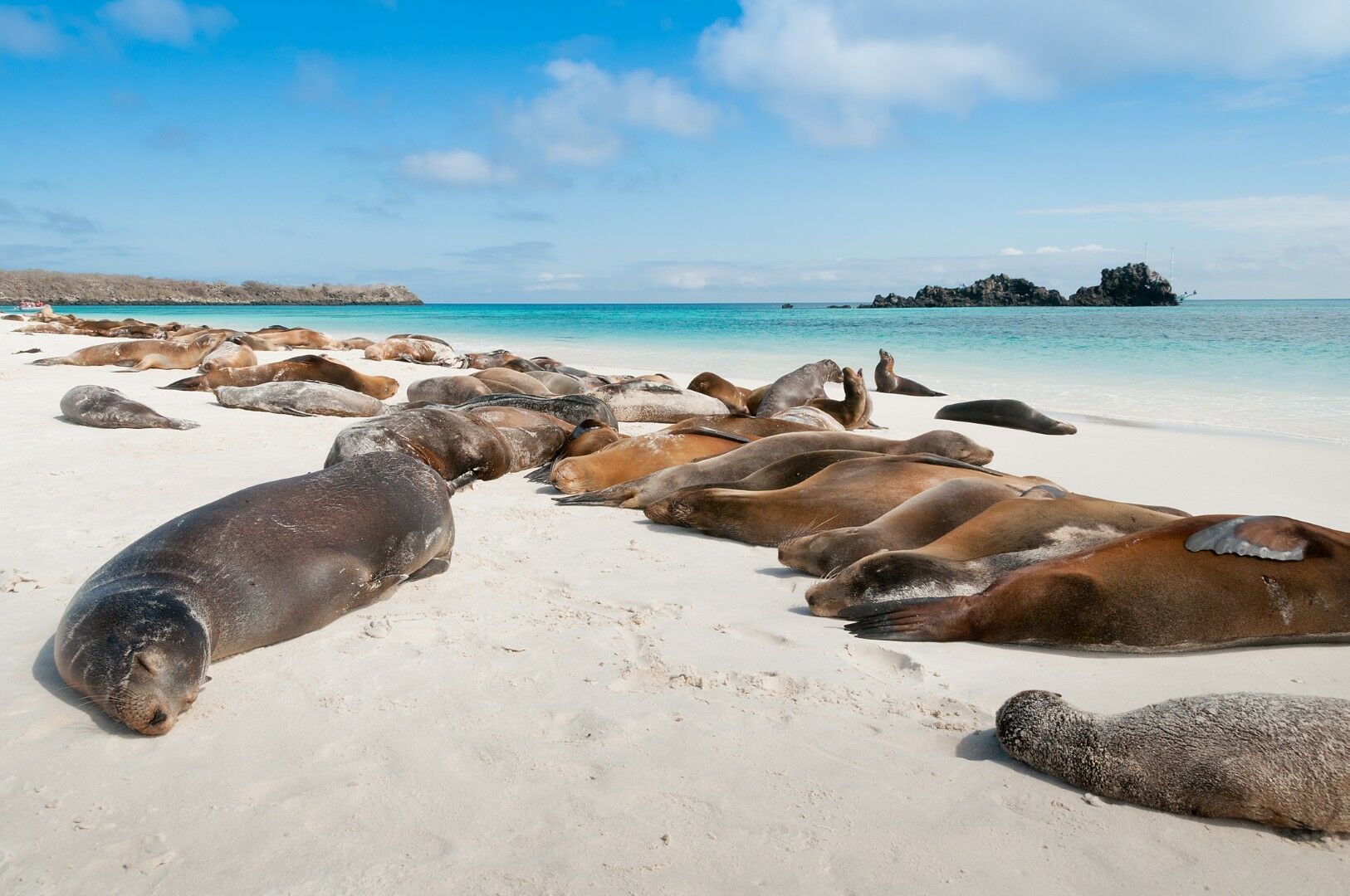 Trésors de l'Equateur et des Galapagos - 13J/11N - Limité à 16 pers. - 2027 pas cher photo 11