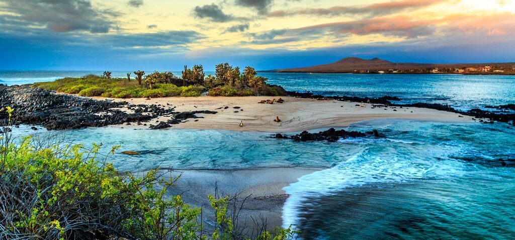 Découverte de l'Equateur et des Galapagos 16J/14N - Limité à 18 pers. 2027 pas cher photo 2
