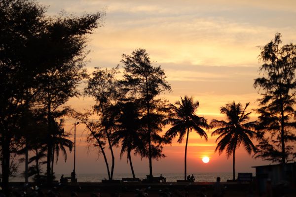 2* Collection Prestige 2* Inde secrète : entre rizières, backwaters et plages sauvages - Vols Flex pas cher photo 11