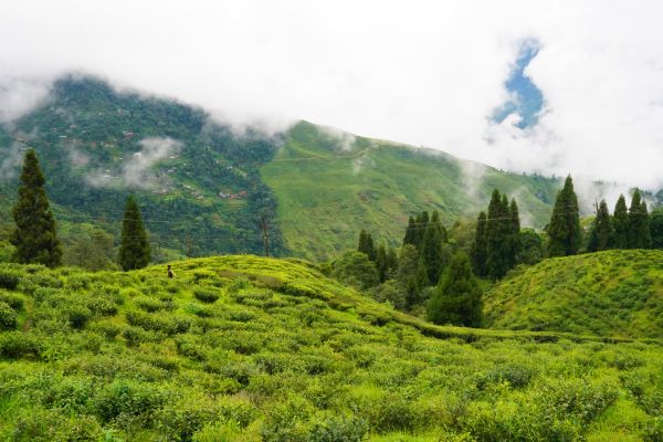 Circuit Des Palais du Gange aux sommets de l'Himalaya : Darjeeling et Sikkim - Vols Flex pas cher photo 16