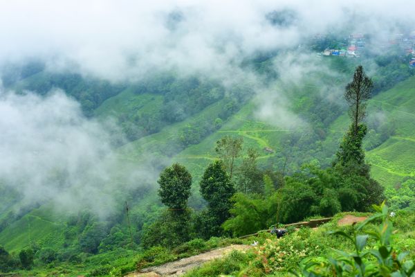 Circuit Des Palais du Gange aux sommets de l'Himalaya : Darjeeling et Sikkim - Vols Flex pas cher photo 20