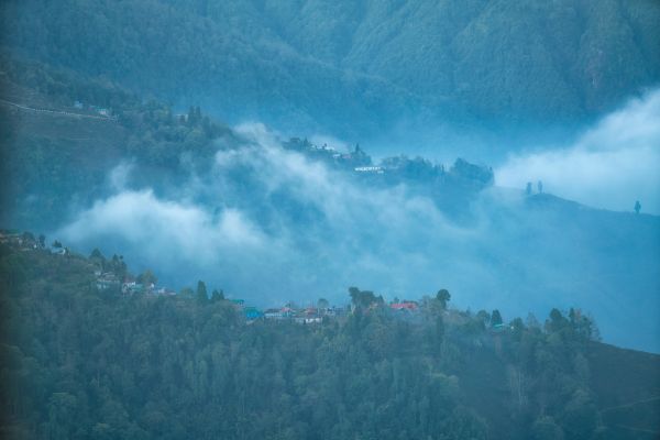 Circuit Des Palais du Gange aux sommets de l'Himalaya : Darjeeling et Sikkim - Vols Flex pas cher photo 25