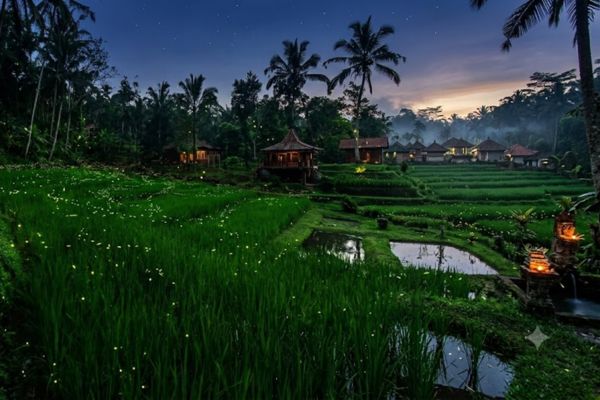 Circuit D'Ubud aux Trésors de l'Océan en Privatif pas cher photo 5