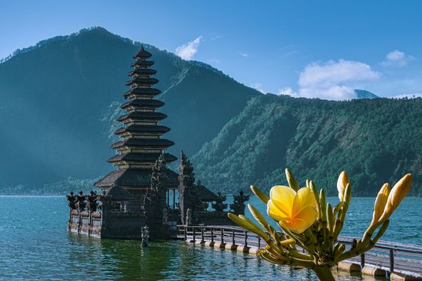 Circuit D'Ubud aux Trésors de l'Océan en Privatif pas cher photo 8