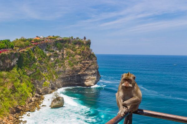 Circuit Odyssée de Java à Bali en Privatif - Vols Flex pas cher photo 1