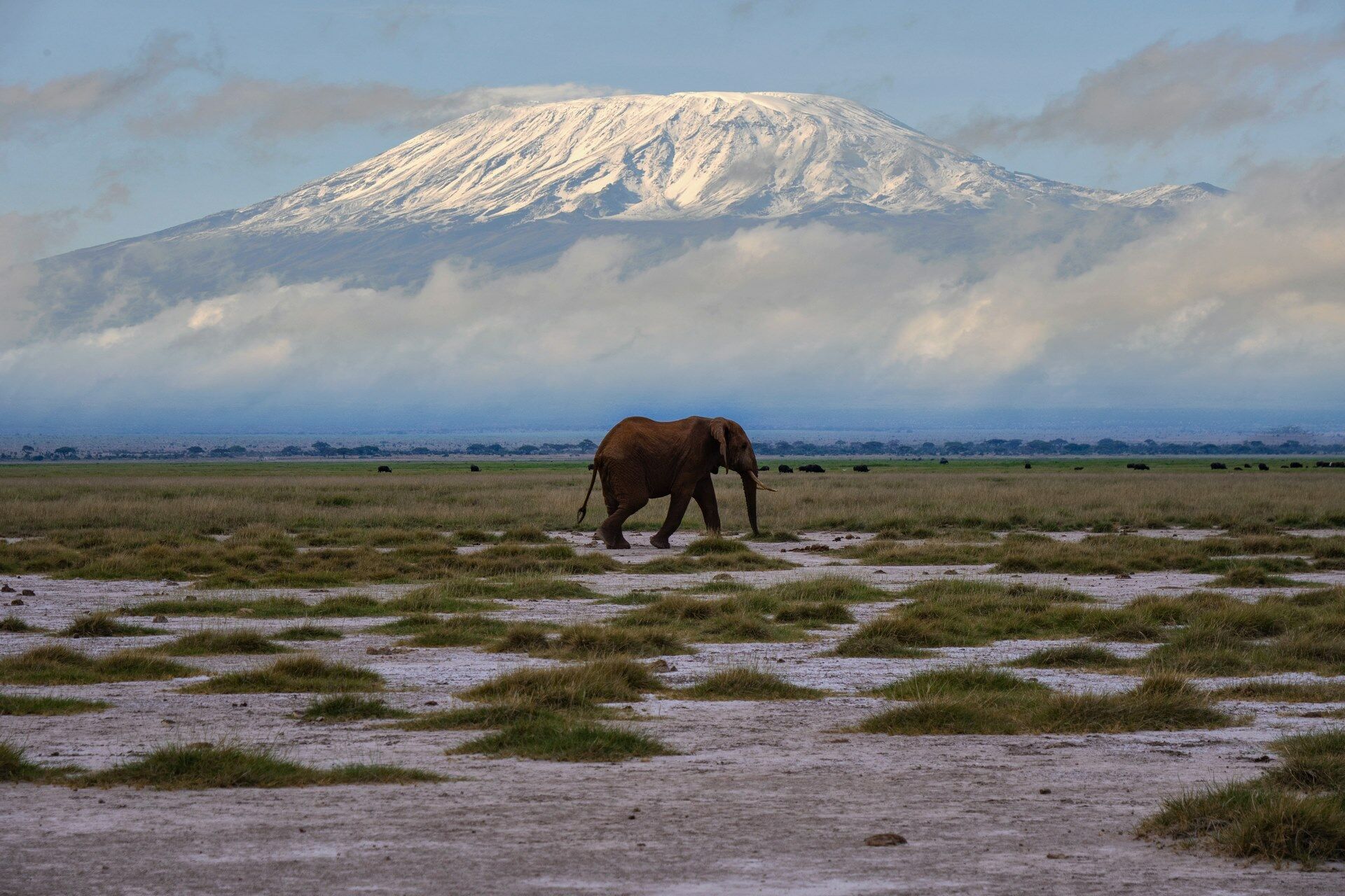 L'essentiel du Kenya 8J/6N - Limité à 6 personnes par véhicule pas cher photo 2