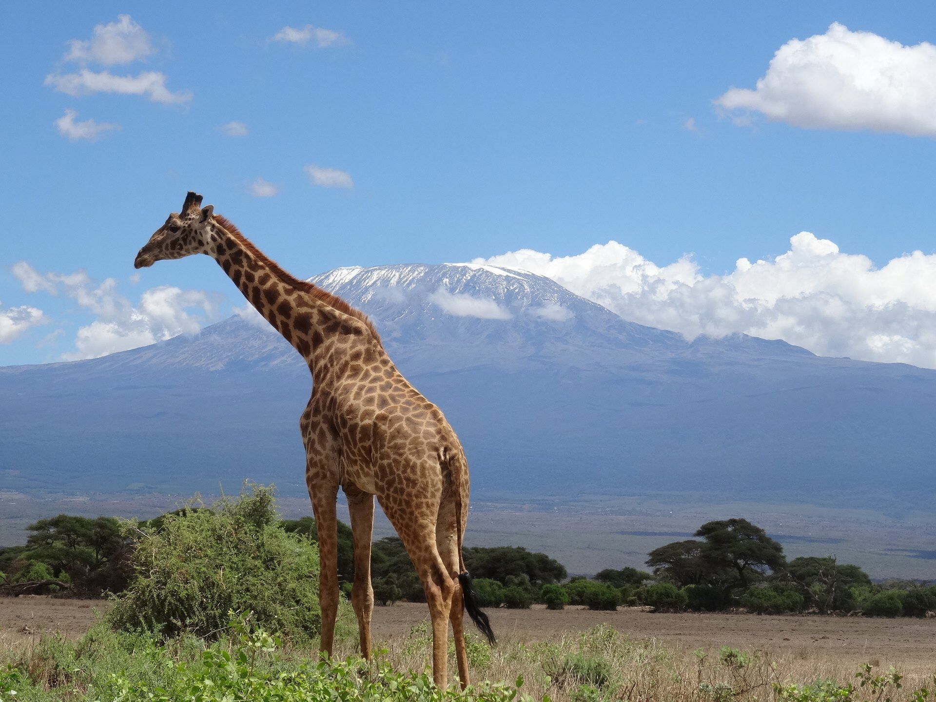 L'essentiel du Kenya 8J/6N - Limité à 6 personnes par véhicule pas cher photo 4