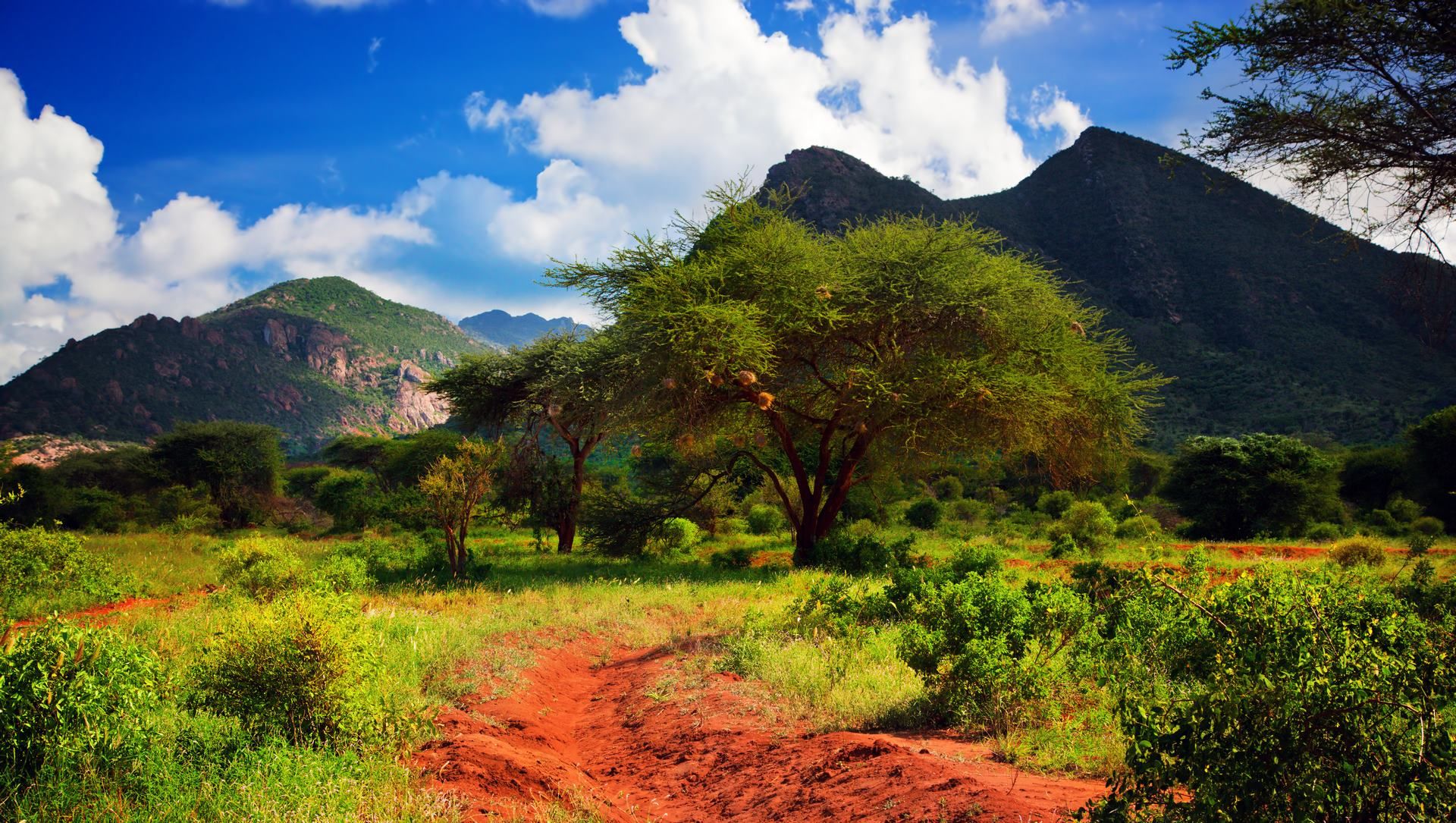 L'essentiel du Kenya 8J/6N - Limité à 6 personnes par véhicule pas cher photo 5