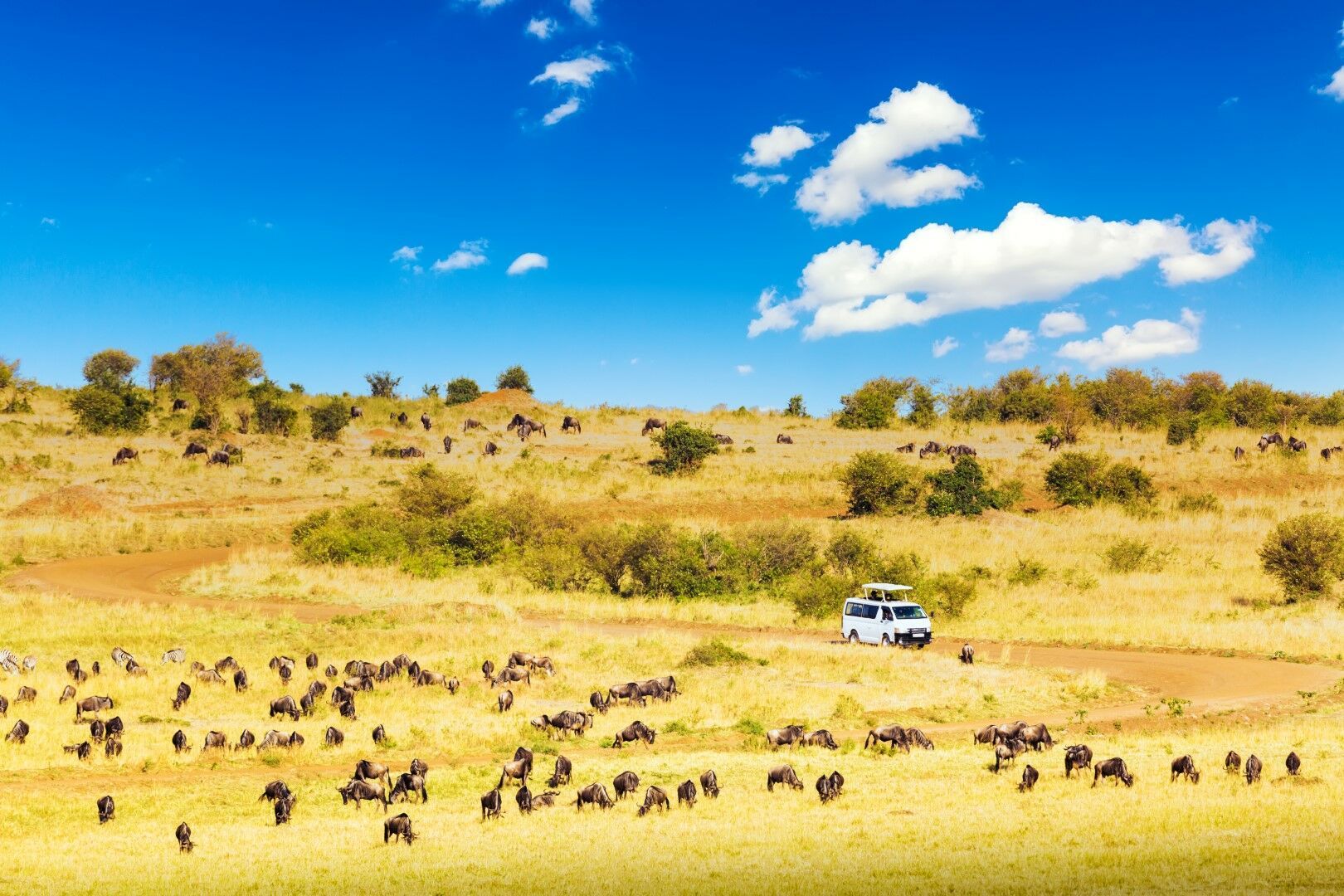 Evasion Kenyane 10J/8N Limité à 7 personnes par véhicule pas cher photo 3