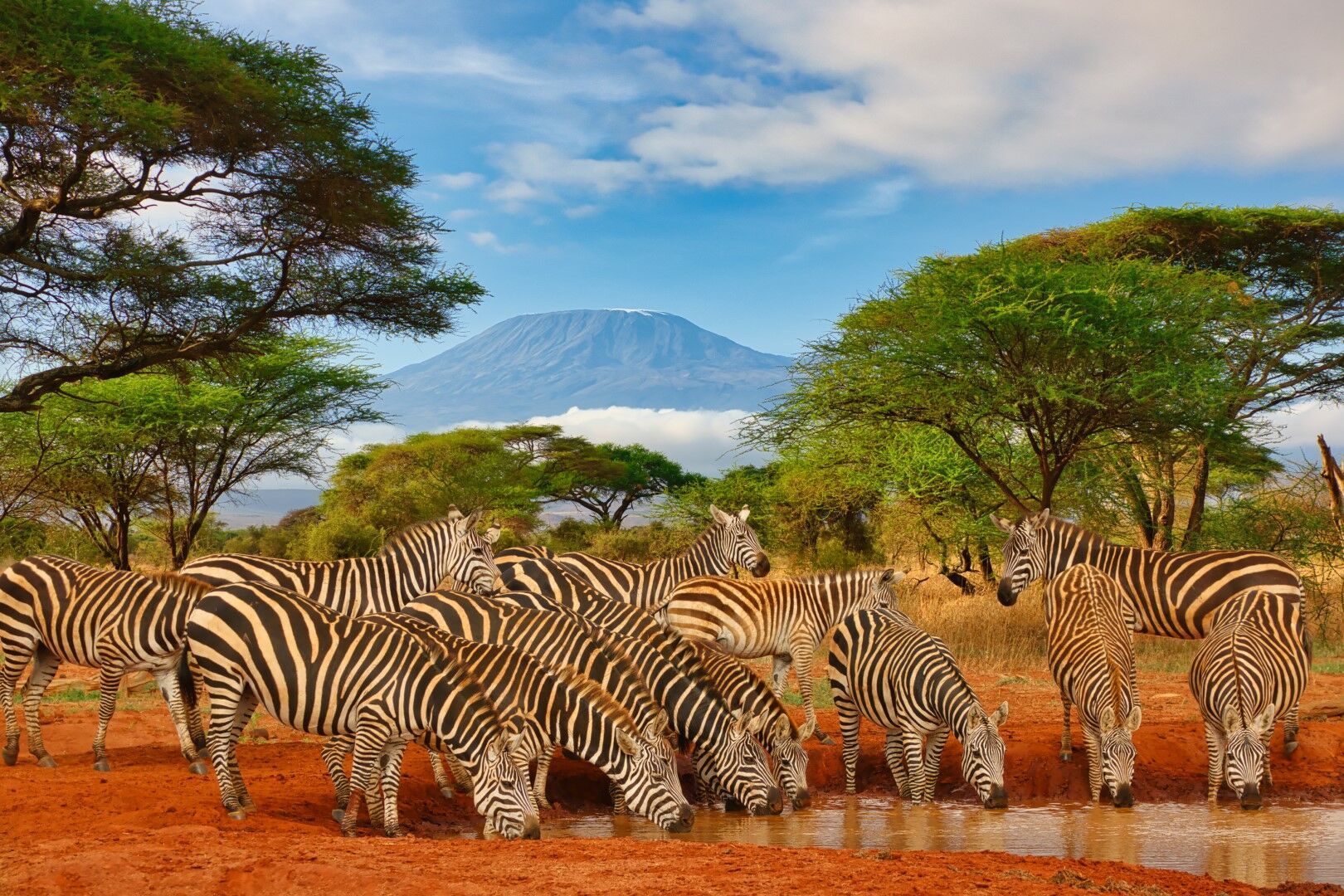 Evasion Kenyane 10J/8N Limité à 7 personnes par véhicule pas cher photo 7