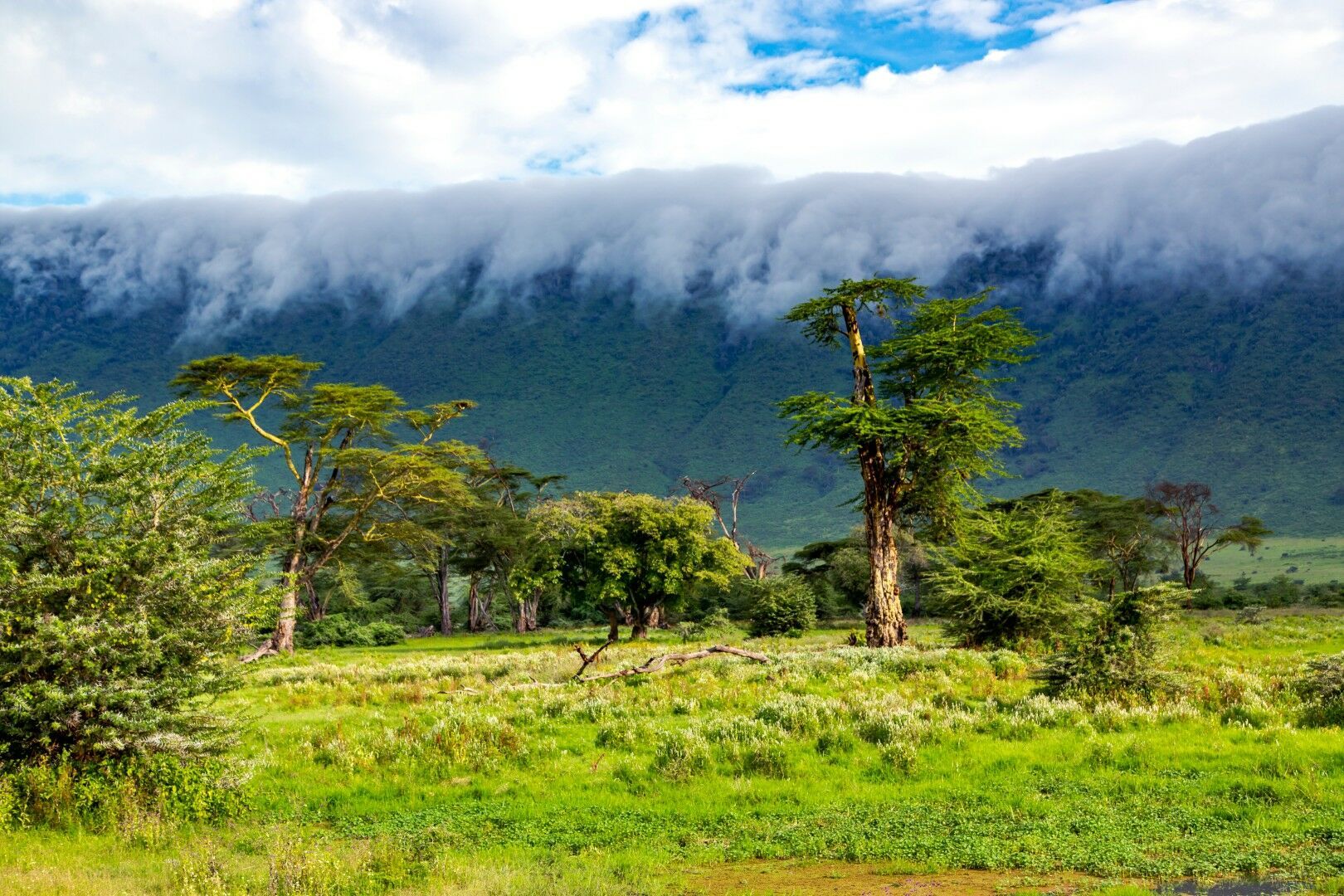 Combiné Kenya & Tanzanie - 12J/9N - Limité à 6 pers. par véhicule - 2027 pas cher photo 3