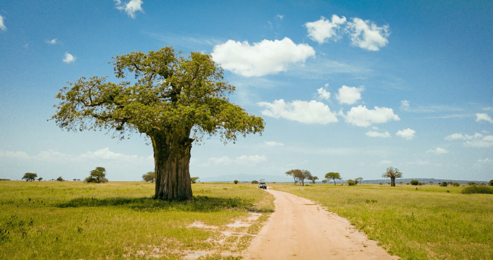 Combiné Kenya & Tanzanie - 12J/9N - Limité à 6 pers. par véhicule - 2027 pas cher photo 6
