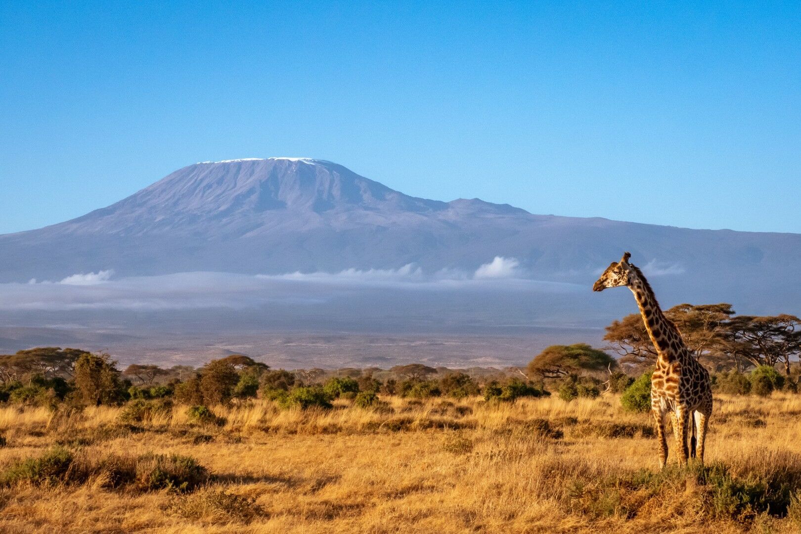 Combiné Kenya & Tanzanie - 12J/9N - Limité à 6 pers. par véhicule - 2027 pas cher photo 7