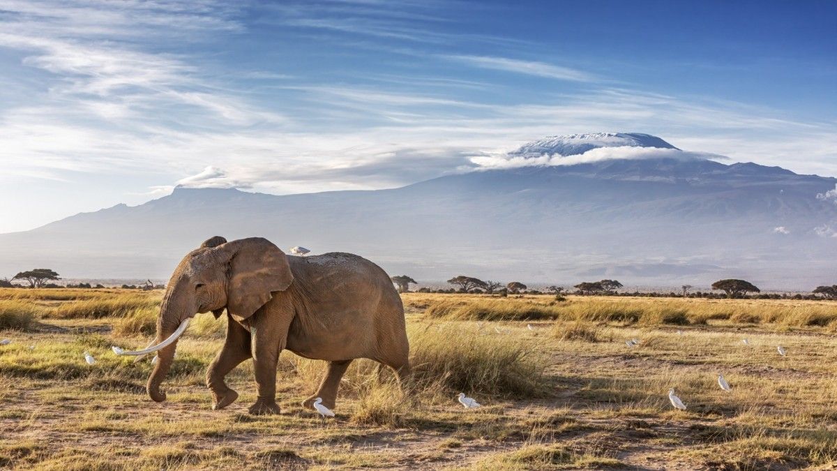 Le Kenya Autrement 14J/12N - Limité à 6 personnes par véhicule pas cher photo 2