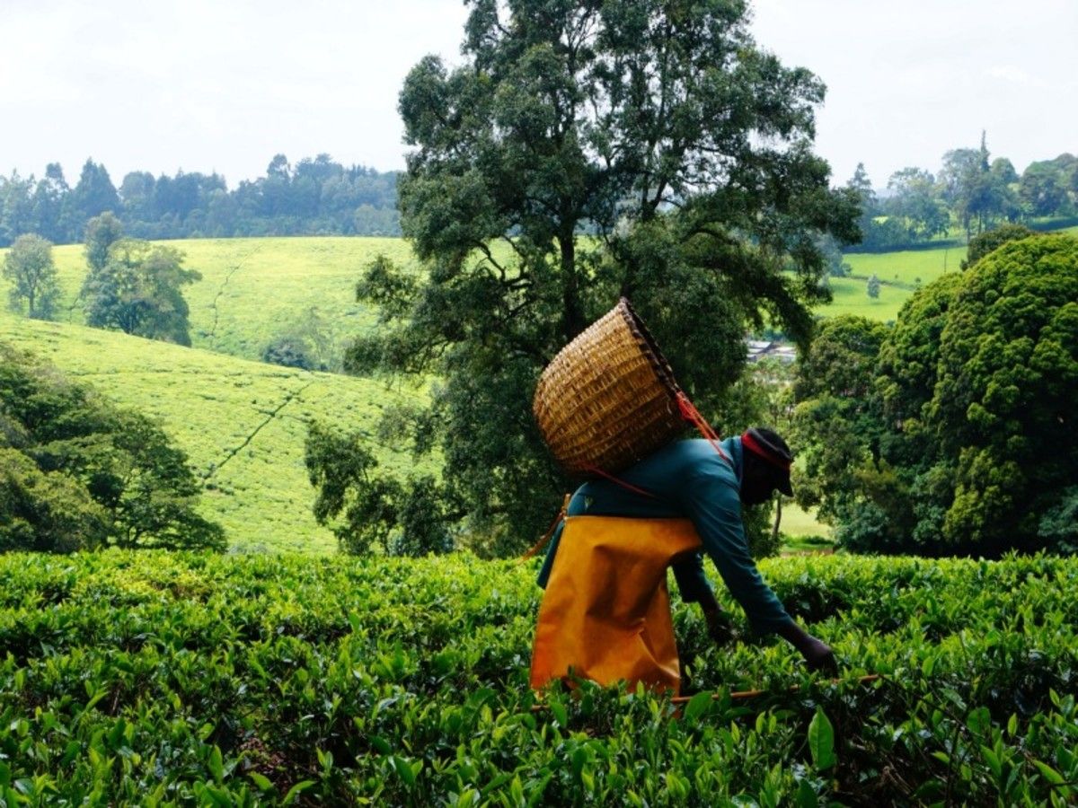 Le Kenya Autrement 14J/12N - Limité à 6 personnes par véhicule pas cher photo 3
