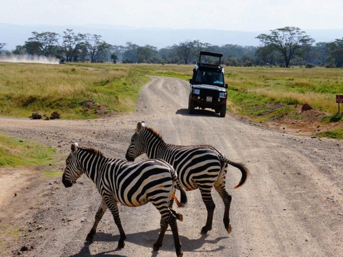 Le Kenya Autrement 14J/12N - Limité à 6 personnes par véhicule pas cher photo 10