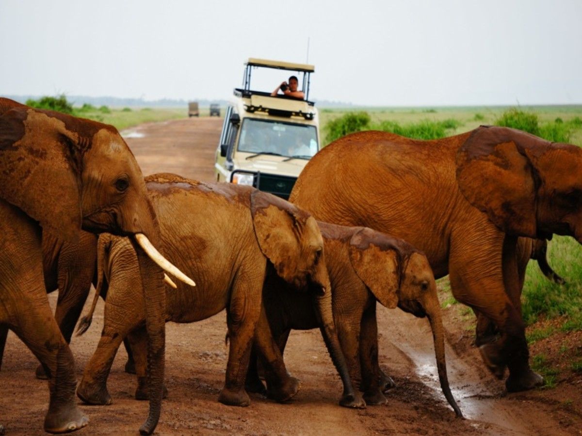 Le Kenya Autrement 14J/12N - Limité à 6 personnes par véhicule pas cher photo 13