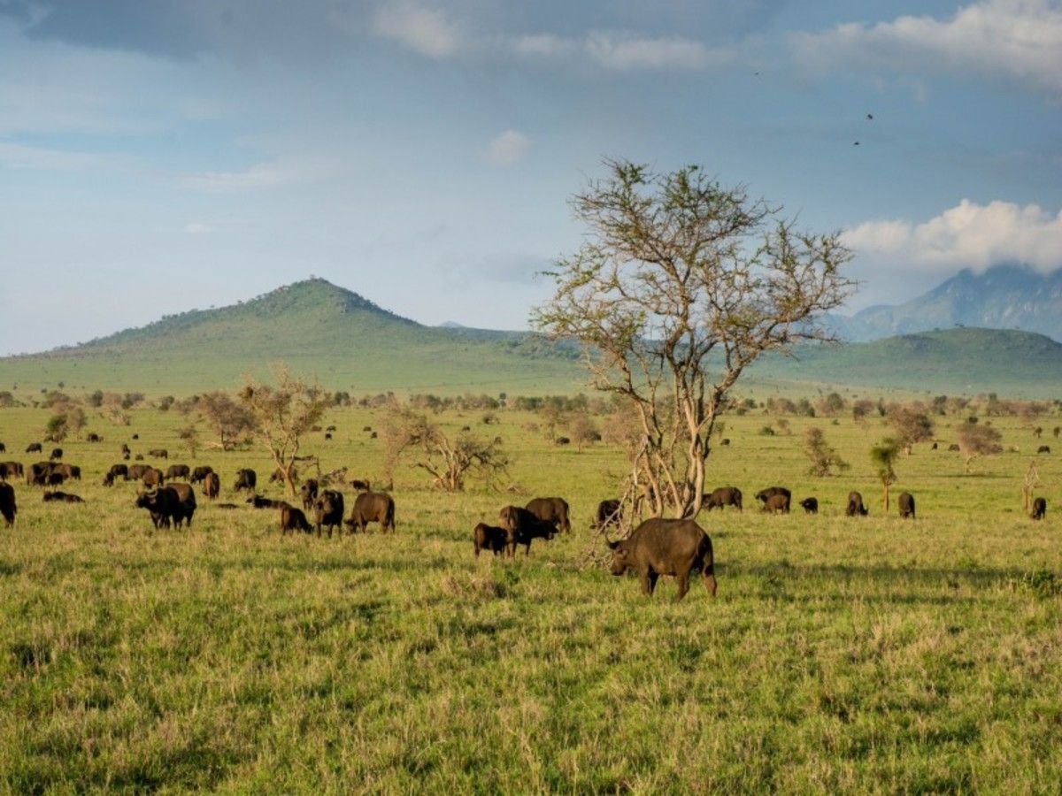 Le Kenya Autrement 14J/12N - Limité à 6 personnes par véhicule pas cher photo 14