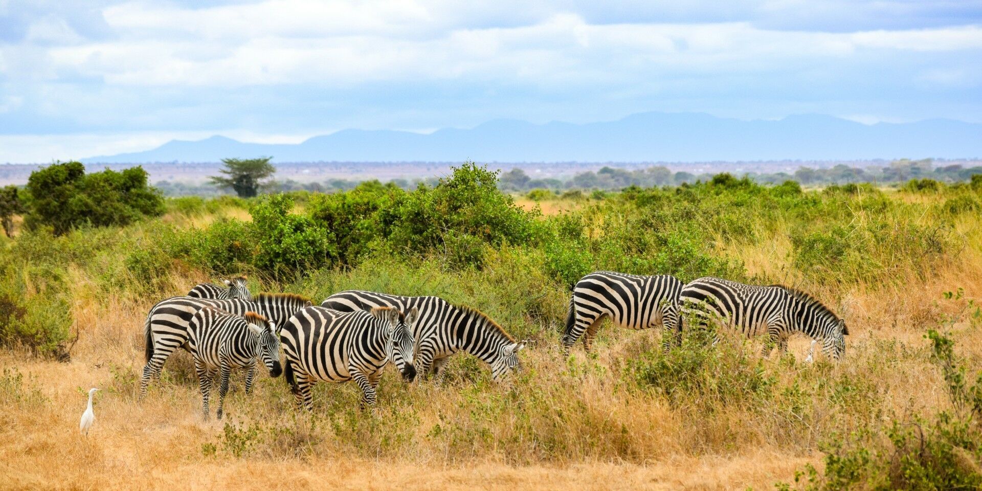 Le Kenya Autrement et extension balnéaire à Zanzibar 17J/15N - Limité à 6 personnes par véhicule pas cher photo 7