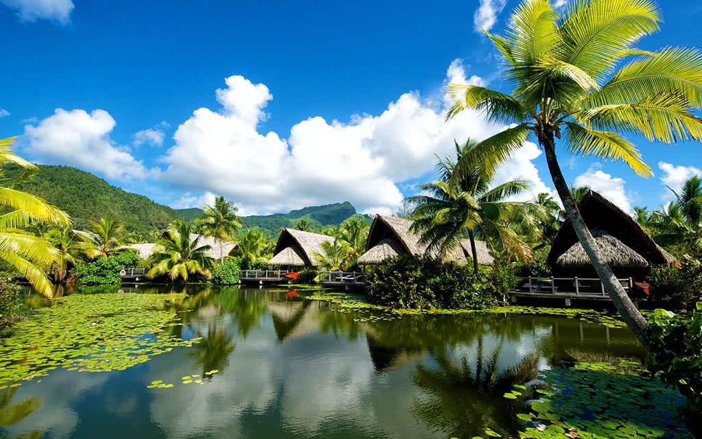 Combiné 4 îles Polynésie MAITAI 12 Nuits : Tahiti + Moorea + Huahine + Bora Bora 3* pas cher photo 9