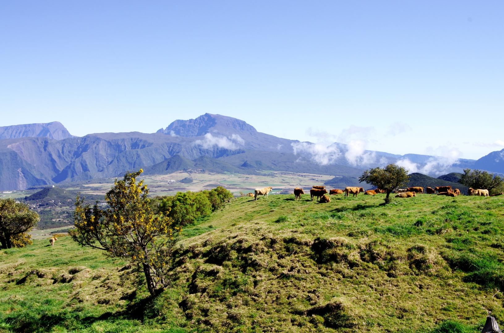 Sur la route : la Réunion, entre volcans et lagons en 4* - 11J/8N pas cher photo 4